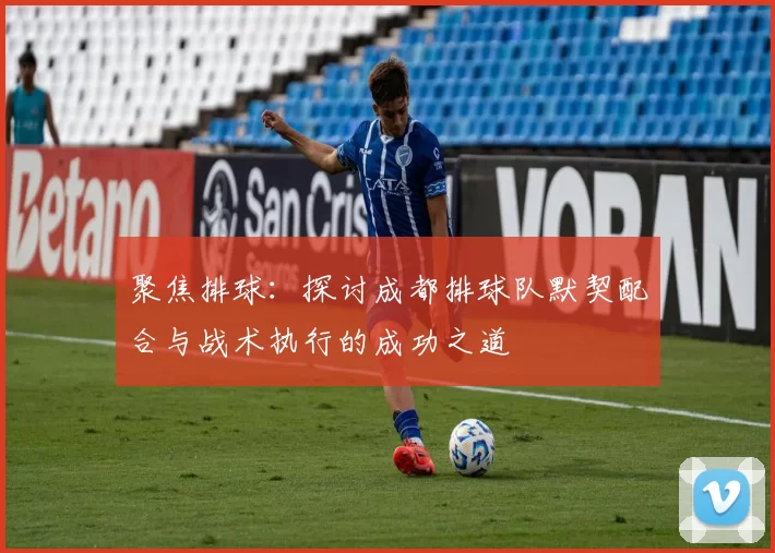 聚焦排球：探讨成都排球队默契配合与战术执行的成功之道