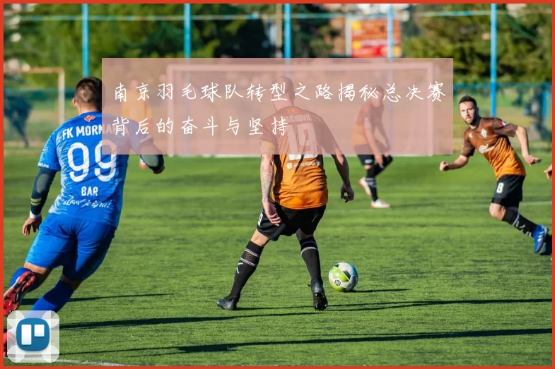 南京羽毛球队转型之路揭秘总决赛背后的奋斗与坚持