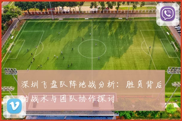 深圳飞盘队阵地战分析：胜负背后的战术与团队协作探讨
