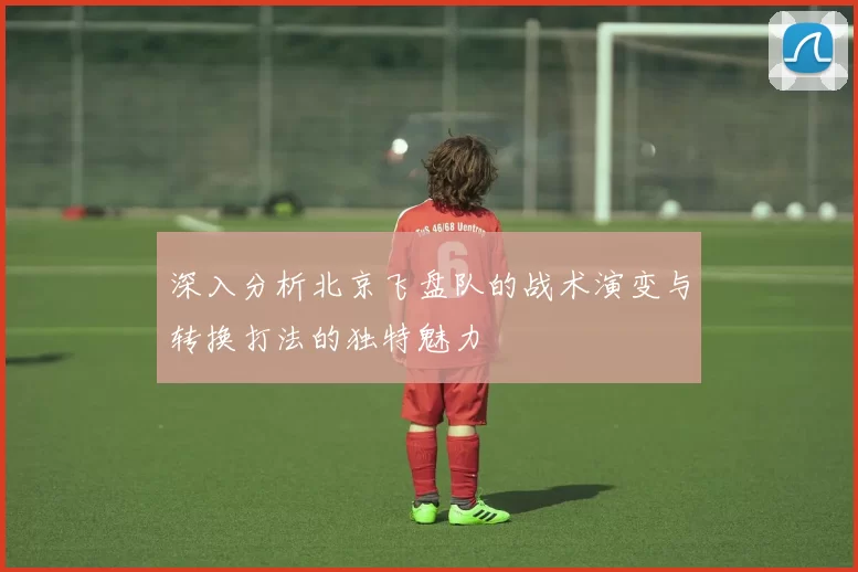 深入分析北京飞盘队的战术演变与转换打法的独特魅力