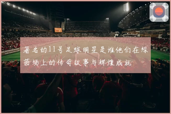 著名的11号足球明星是谁他们在绿茵场上的传奇故事与辉煌成就