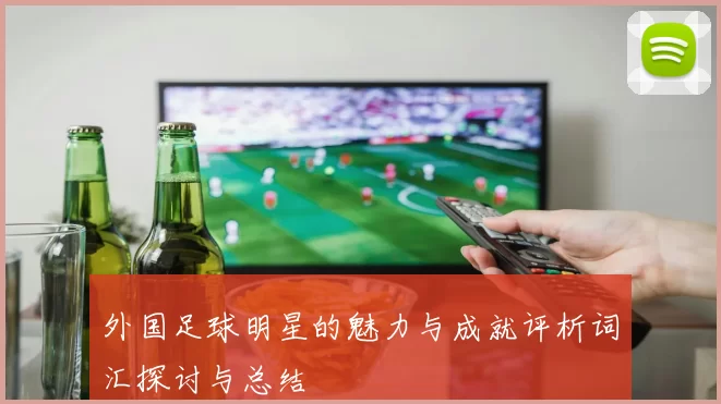 外国足球明星的魅力与成就评析词汇探讨与总结