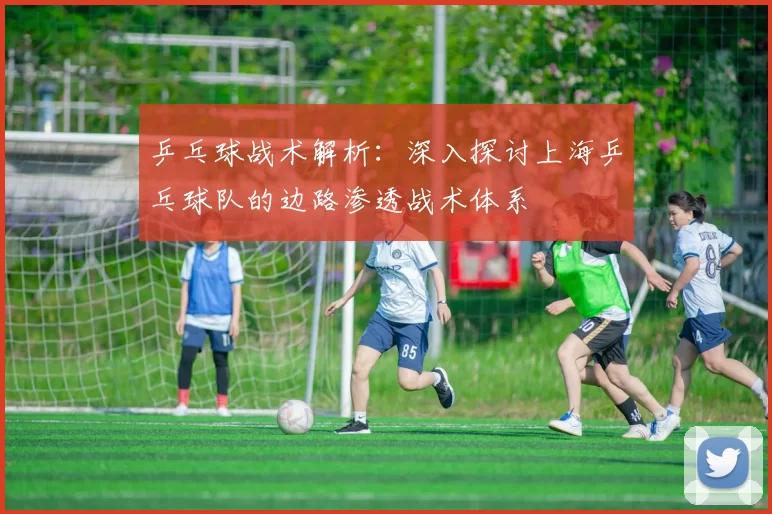 乒乓球战术解析：深入探讨上海乒乓球队的边路渗透战术体系