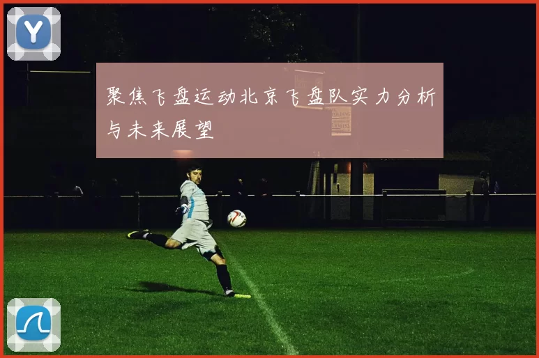 聚焦飞盘运动北京飞盘队实力分析与未来展望