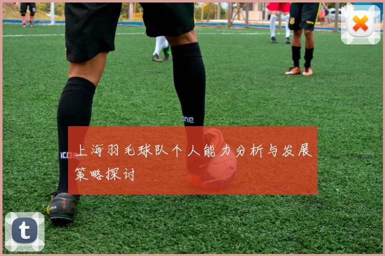 上海羽毛球队个人能力分析与发展策略探讨