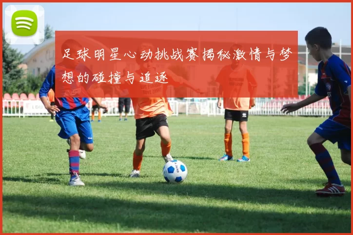 足球明星心动挑战赛揭秘激情与梦想的碰撞与追逐