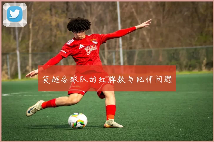 英超各球队的红牌数与纪律问题
