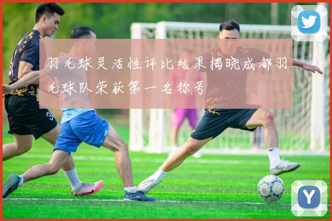 羽毛球灵活性评比结果揭晓成都羽毛球队荣获第一名称号