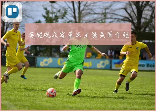 英超观众容量及主场氛围介绍