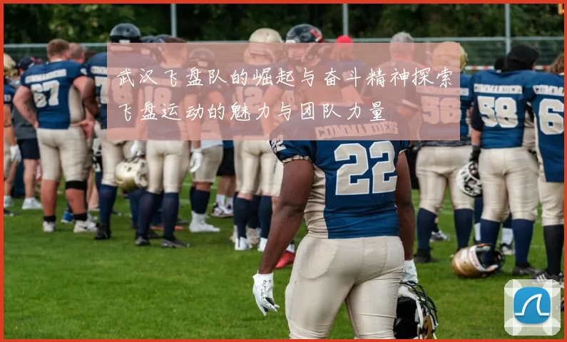 武汉飞盘队的崛起与奋斗精神探索飞盘运动的魅力与团队力量