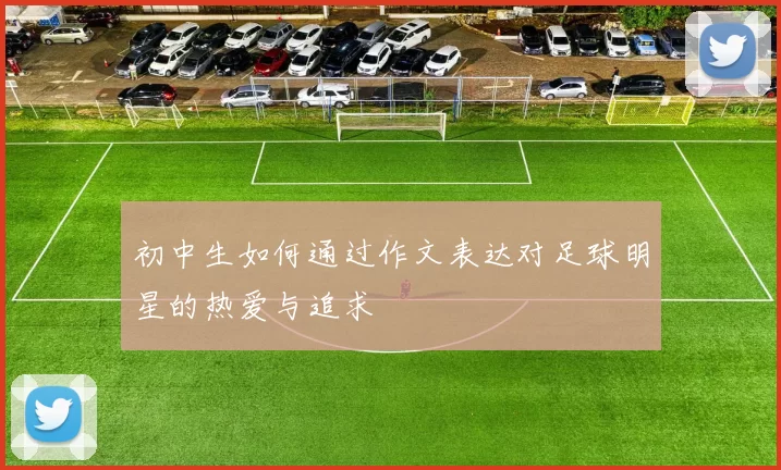初中生如何通过作文表达对足球明星的热爱与追求