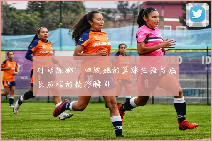 对话陈娜：回顾她的篮球生涯与成长历程的精彩瞬间