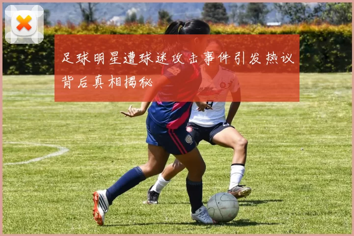 足球明星遭球迷攻击事件引发热议背后真相揭秘