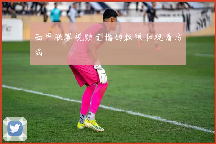 西甲联赛视频直播的权限和观看方式