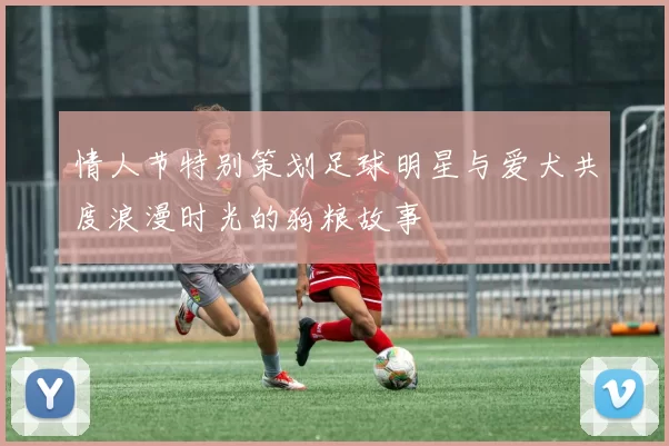情人节特别策划足球明星与爱犬共度浪漫时光的狗粮故事