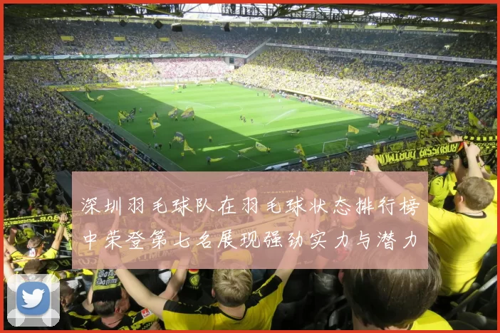 深圳羽毛球队在羽毛球状态排行榜中荣登第七名展现强劲实力与潜力