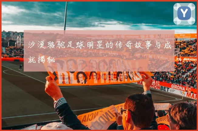 沙漠骆驼足球明星的传奇故事与成就揭秘
