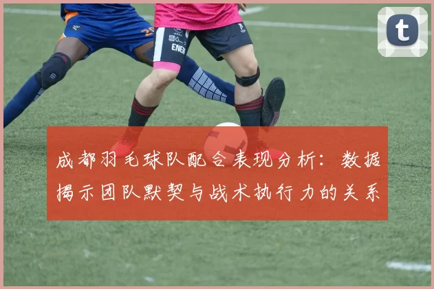 成都羽毛球队配合表现分析：数据揭示团队默契与战术执行力的关系